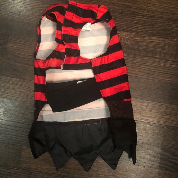 Dog pirate costume - Picture 3 of 5